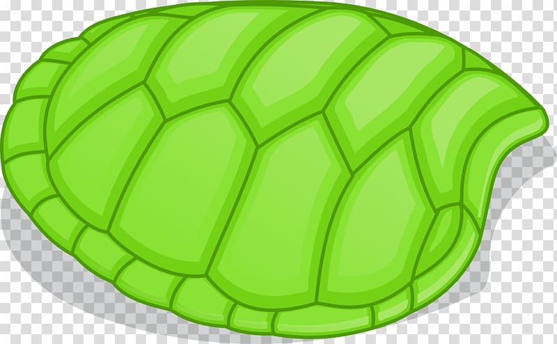 Turtle shell , tortoide transparent background PNG clipart