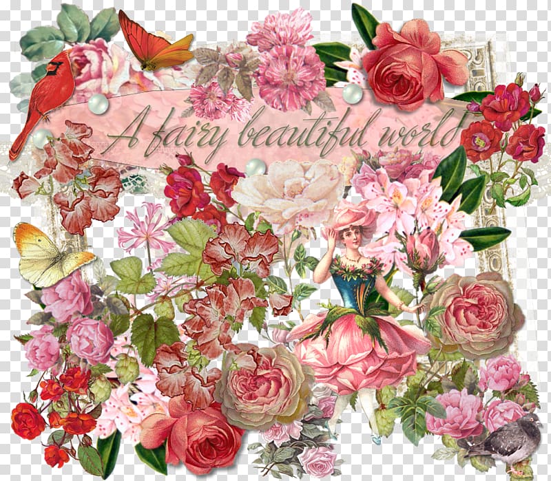 Garden roses Cabbage rose Cut flowers Floral design, pink fairy transparent background PNG clipart