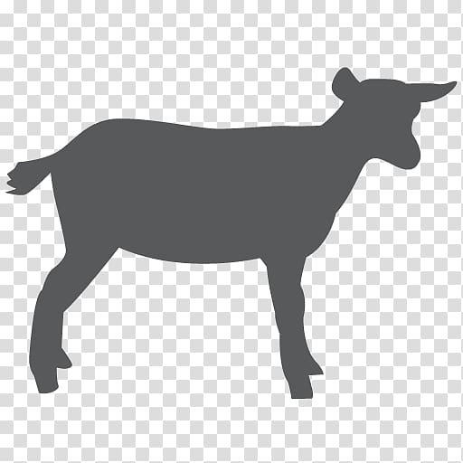 Sheep Nigerian Dwarf goat Cattle Pygmy goat Milk, sheep transparent background PNG clipart