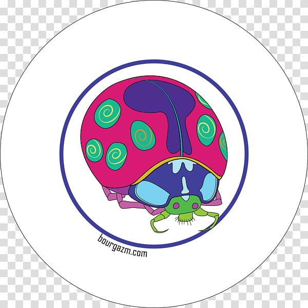 Turtle , lady bird transparent background PNG clipart