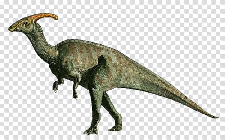 Parasaurolophus Triceratops Dinosaur Brachiosaurus Velociraptor, dinosaur transparent background PNG clipart