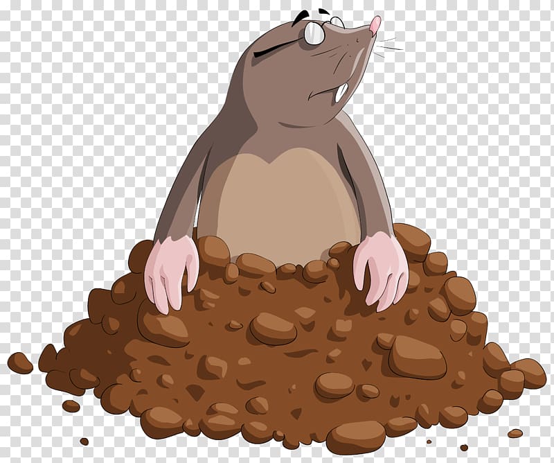 mole animal illustration, Cartoon Mole , Mole Cartoon transparent background PNG clipart