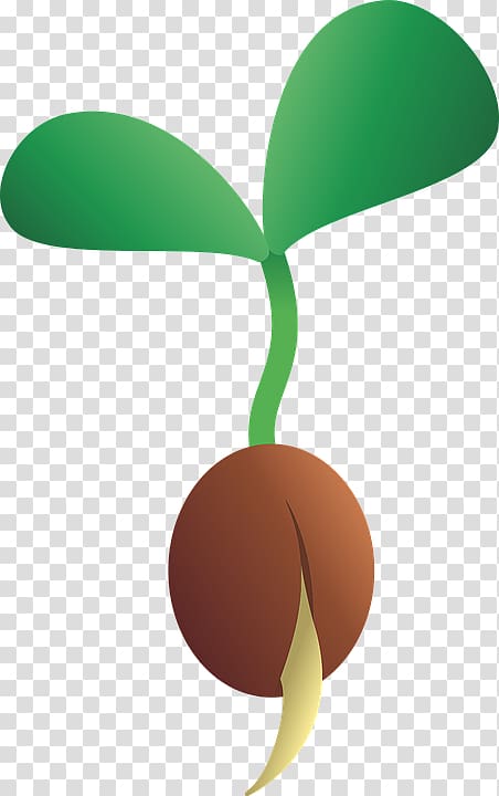 Seedling Seed plants , plant transparent background PNG clipart