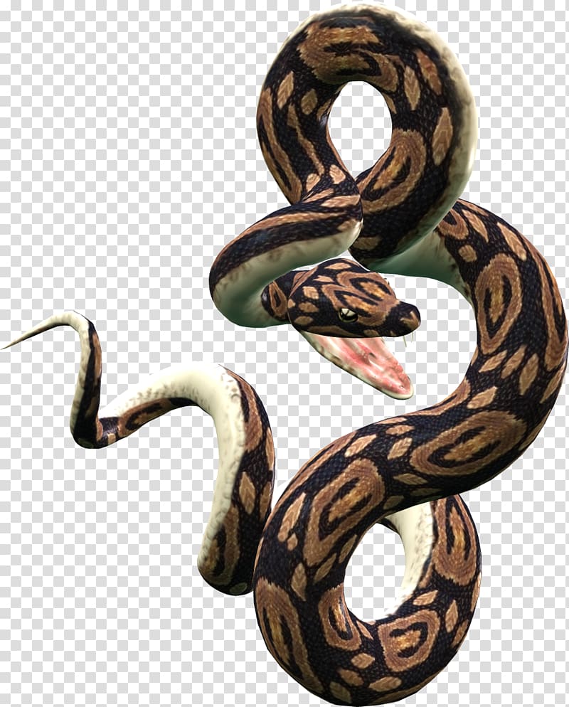Snake Reptile, Snake free transparent background PNG clipart