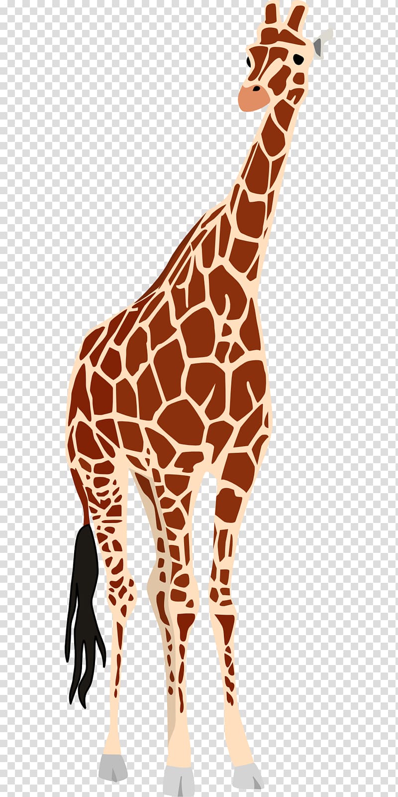 Giraffe Okapi , giraffe transparent background PNG clipart