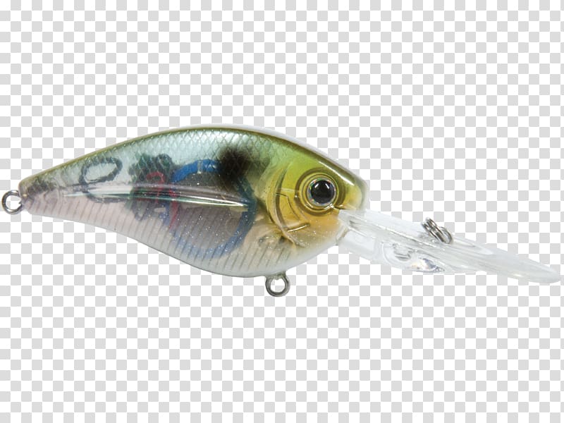 Spoon lure Perch Oily fish AC power plugs and sockets, gizzard transparent background PNG clipart