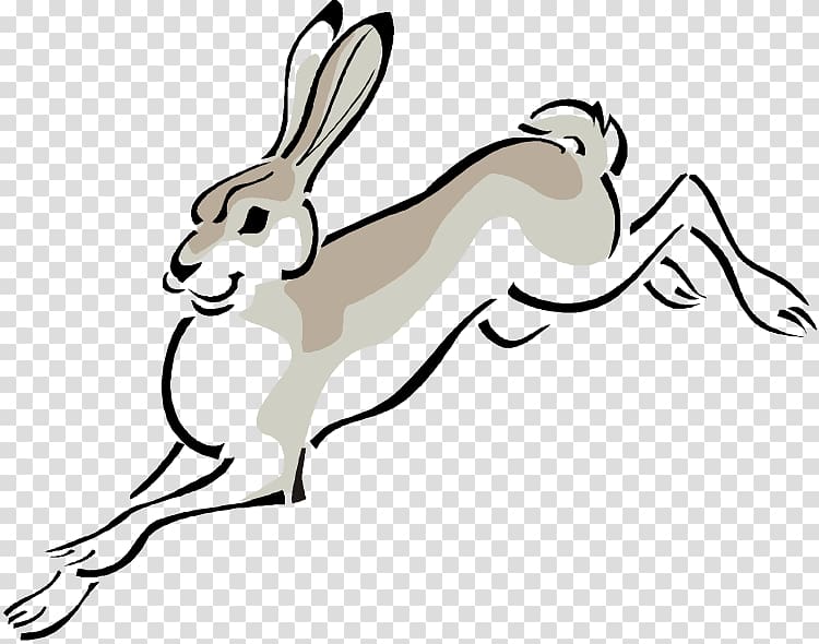 Arctic hare European hare Cottontail rabbit , Arctic Hare transparent background PNG clipart