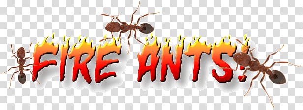 Red imported fire ant Insect Pest Control, insect transparent background PNG clipart