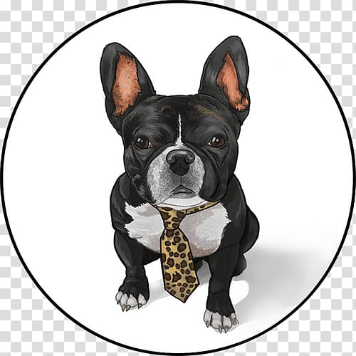 Boston Terrier French Bulldog Toy Bulldog Dog breed, frenchie transparent background PNG clipart