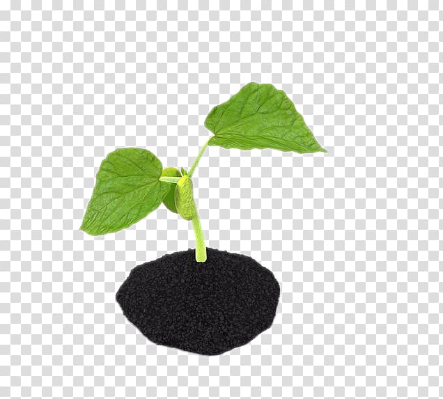 Sprouting Soil Bud, others transparent background PNG clipart