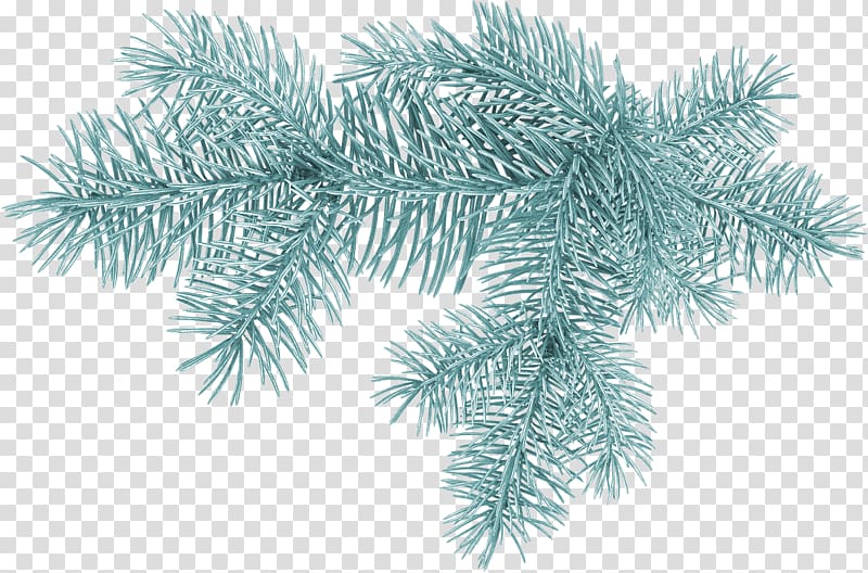 Spruce Christmas tree Pine, christmas tree transparent background PNG clipart