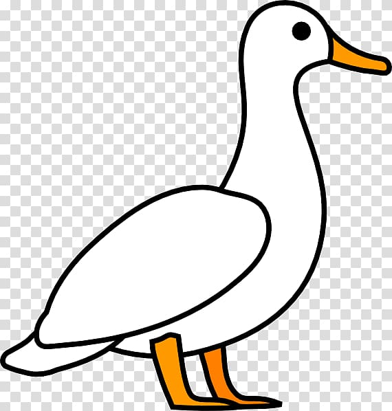 American Pekin Duck Mallard , Duck Outline transparent background PNG clipart