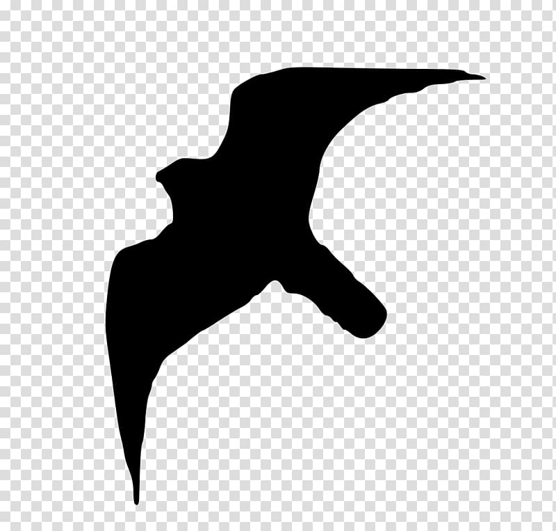 Bird Peale\'s falcon Silhouette, birds silhouette transparent background PNG clipart
