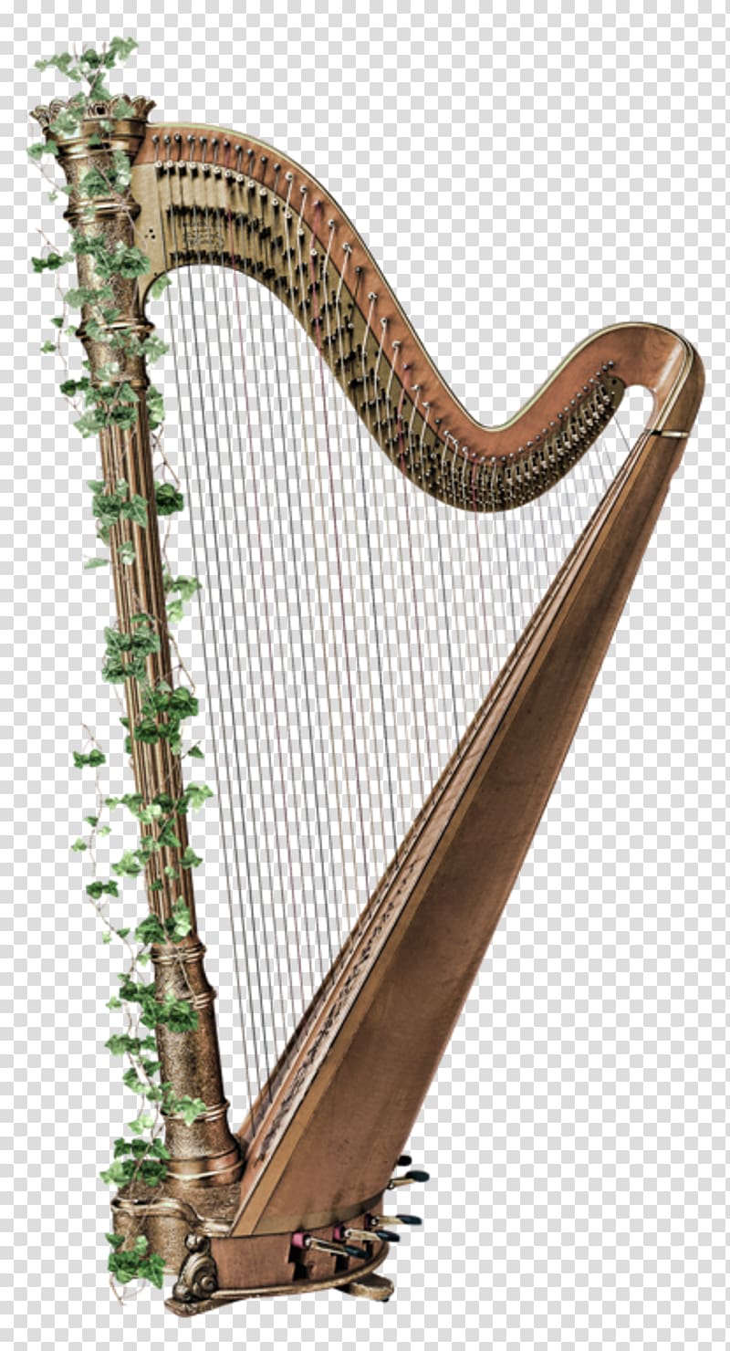 Celtic harp Musical Instruments String Instruments, harp transparent background PNG clipart