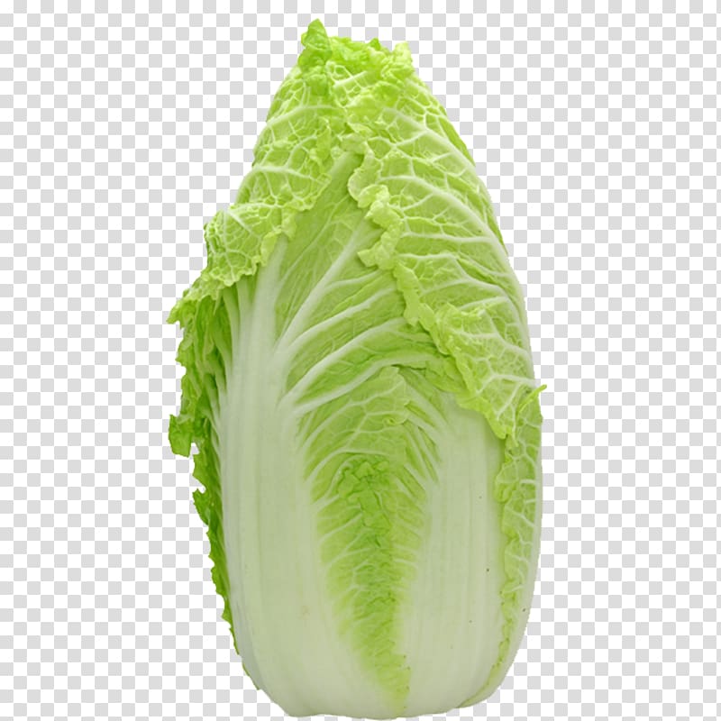 Chinese cabbage Leaf lettuce Vegetable Salad, Cabbage material transparent background PNG clipart