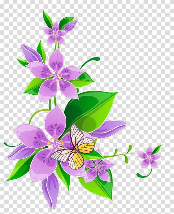 Borders and Frames Floral design Flower , design transparent background PNG clipart