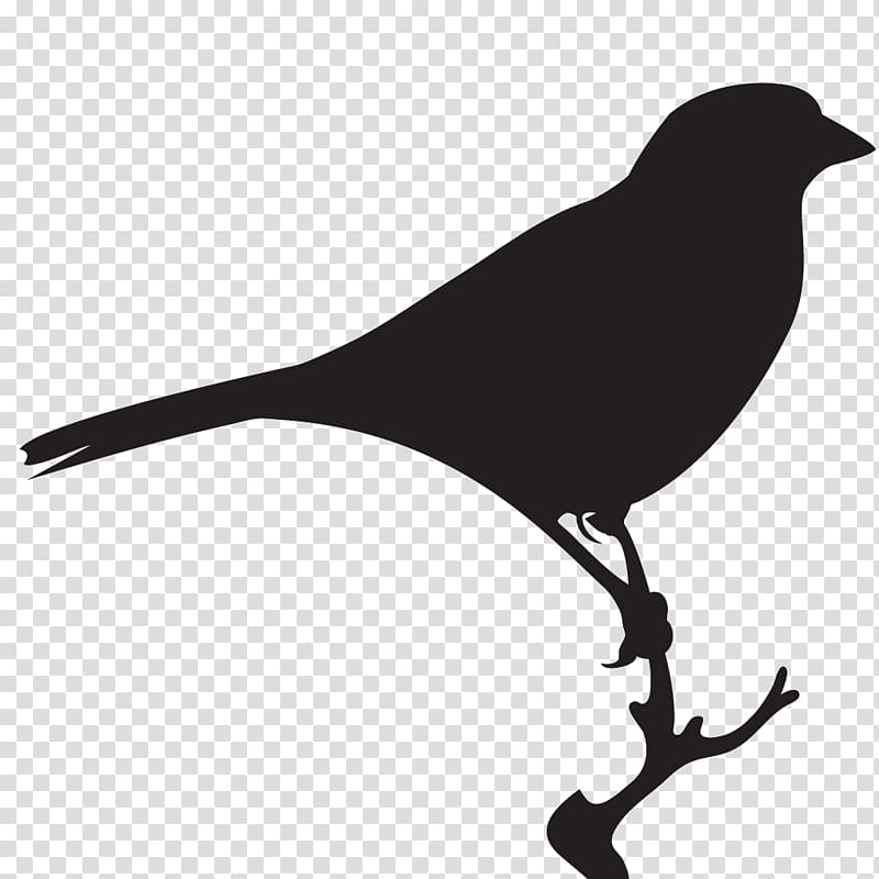 Bird House Sparrow American crow American Sparrows, sparrow transparent background PNG clipart