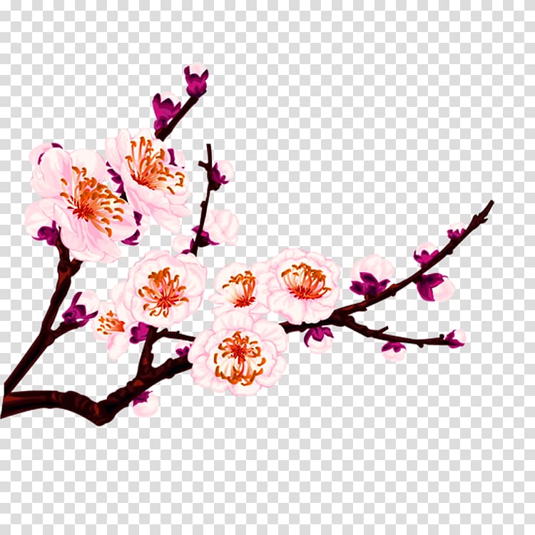 Flower Cdr Adobe Illustrator, Peach blossom transparent background PNG clipart