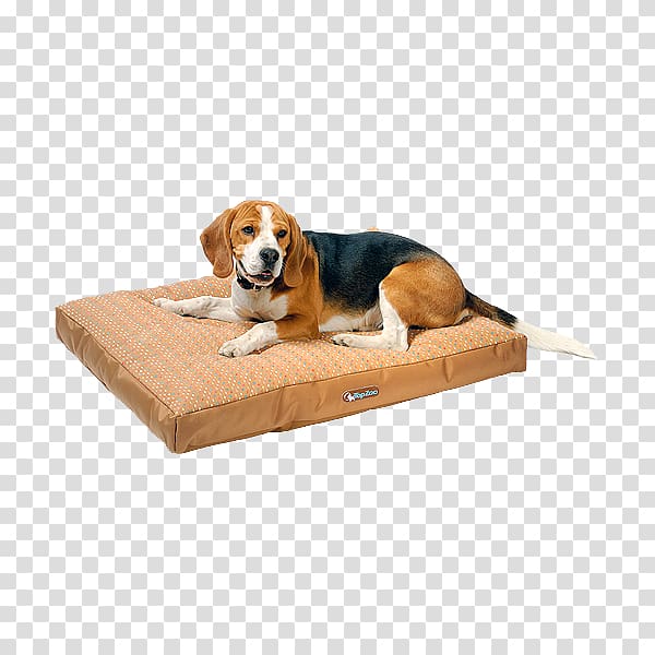 Dog breed Dog crate Bed Companion dog, bed transparent background PNG clipart