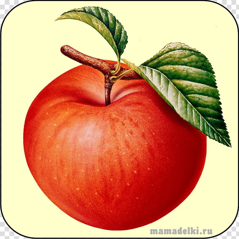 Jigsaw Puzzles Apple JPEG Portable Network Graphics, apple juice transparent background PNG clipart