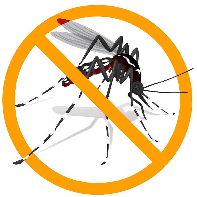Yellow fever mosquito Aedes albopictus Zika virus , mosquito transparent background PNG clipart