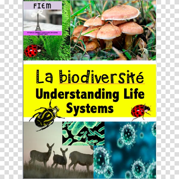 Education Biology Student Biodiversity Sixth grade, science album transparent background PNG clipart
