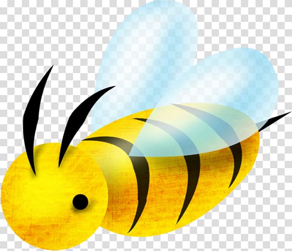 Bee Insect Apis florea , Cartoon Bee transparent background PNG clipart