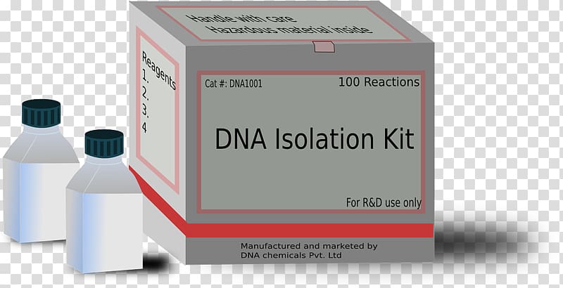 DNA profiling Genetic testing Genetics Laboratory, dna testing transparent background PNG clipart