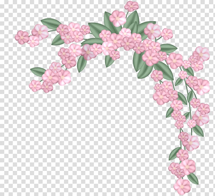 Flower Floral design Color, Pink lace leaf angle transparent background PNG clipart