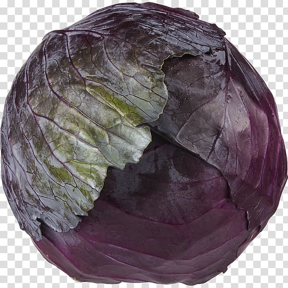 Vegetable Food Cabbage Ghormeh sabzi Snack, vegetable transparent background PNG clipart