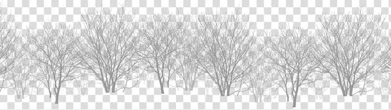 brown bare trees illustration, White Black, Snow bifurcated dead tree forest transparent background PNG clipart