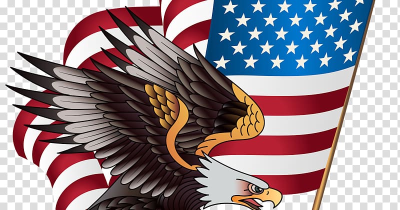 United States of America Bald eagle Flag of the United States , flag transparent background PNG clipart