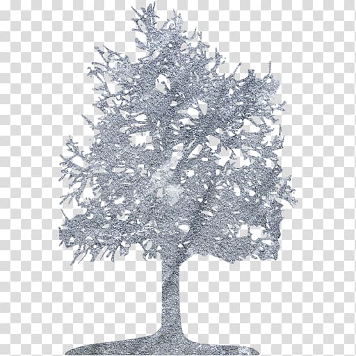 Fir Computer Icons Mobile app graphics Tree, tree transparent background PNG clipart