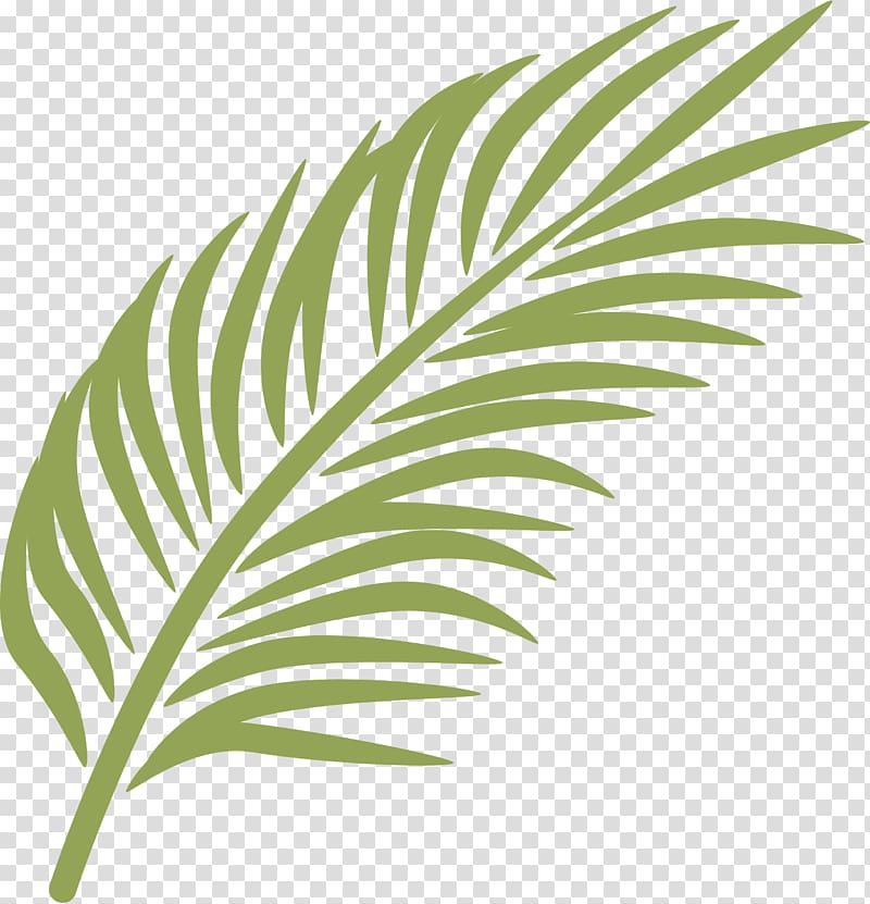 Palm branch Palm Sunday Arecaceae , banana leaf transparent background PNG clipart