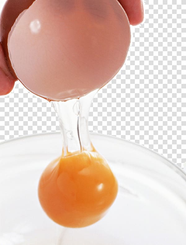 Chicken egg Ingredient Food Yolk, Egg product physical map transparent background PNG clipart