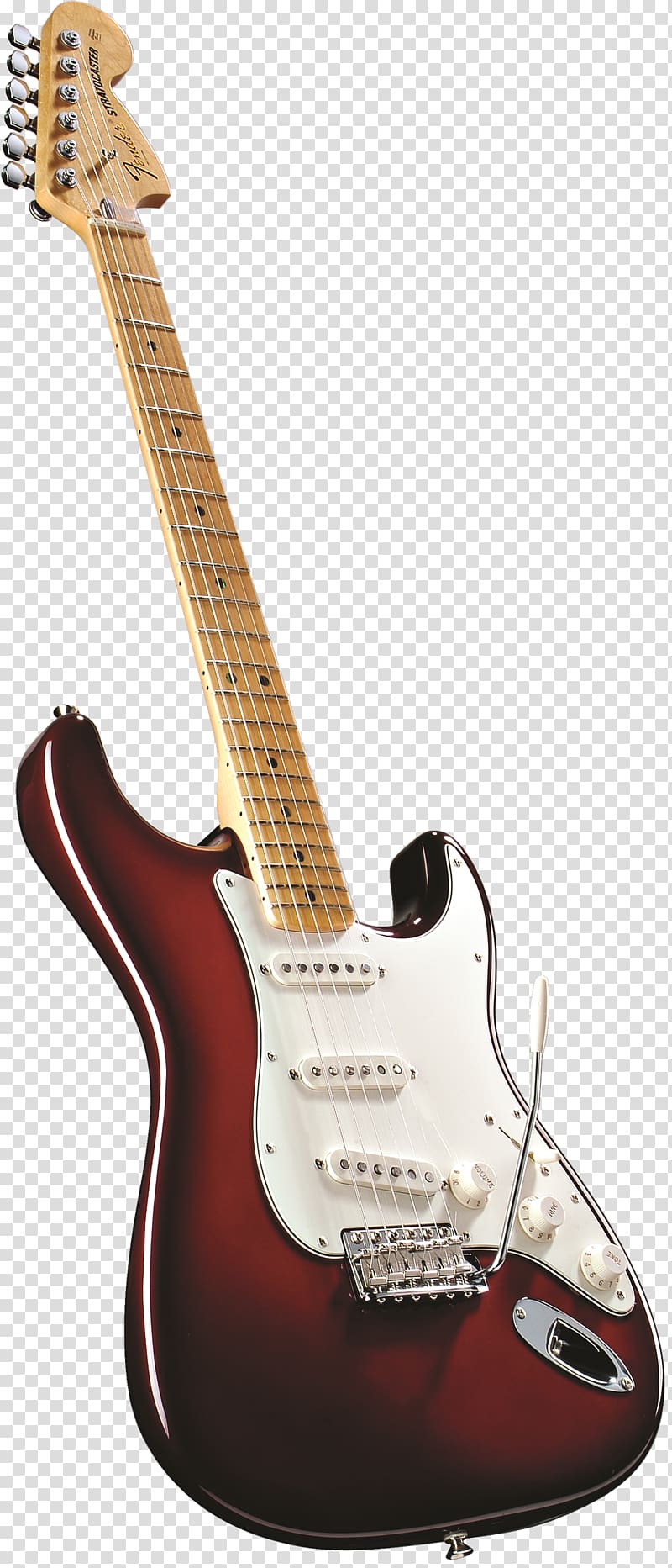 Fender Stratocaster Eric Clapton Stratocaster Musical Instruments String Instruments Guitar, electric guitar transparent background PNG clipart