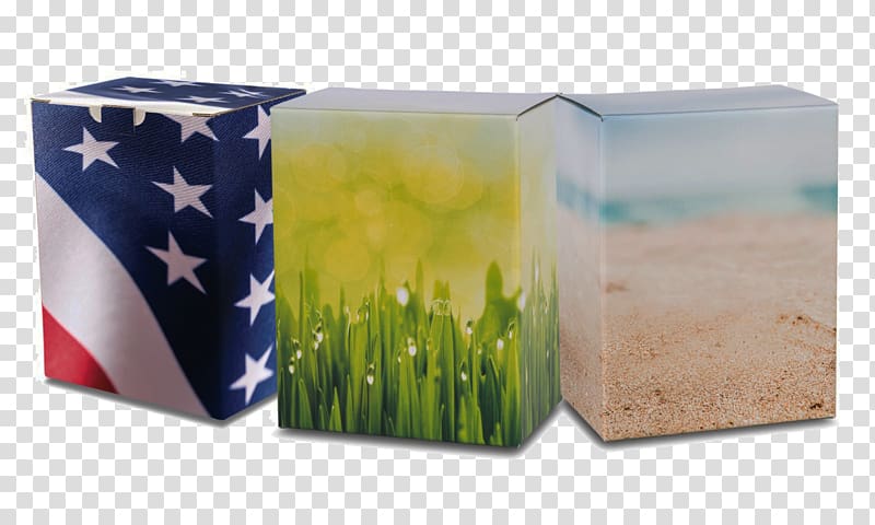 Ypsilanti Shoreline Tri County Cremations Services Plastic Veteran, Ypsilanti transparent background PNG clipart