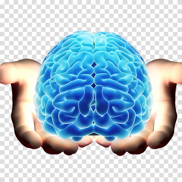 Neurology brain Mind Neurosurgery, Brain transparent background PNG clipart