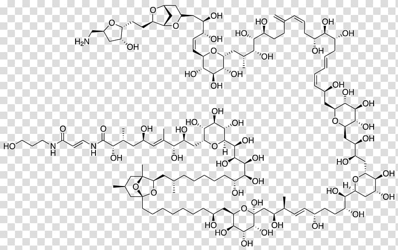 Palytoxin Maitotoxin Structure chart Chemical compound, others transparent background PNG clipart