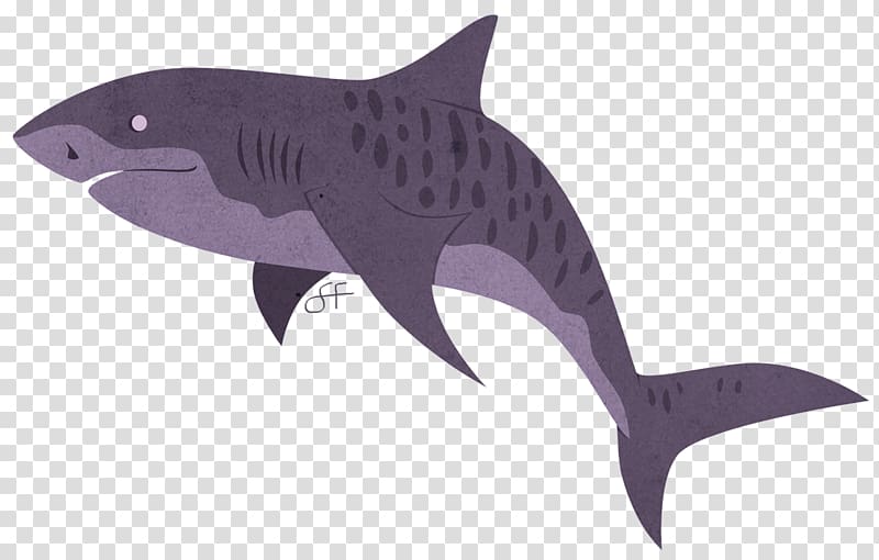 Tiger shark Marine biology Requiem sharks Marine mammal, tiger shark transparent background PNG clipart