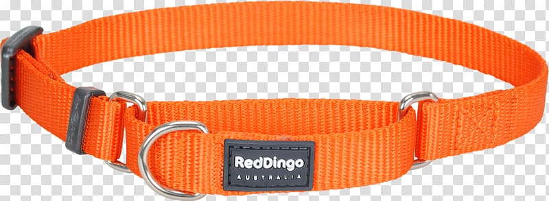 Dog collar Dingo Cat, red collar dog transparent background PNG clipart