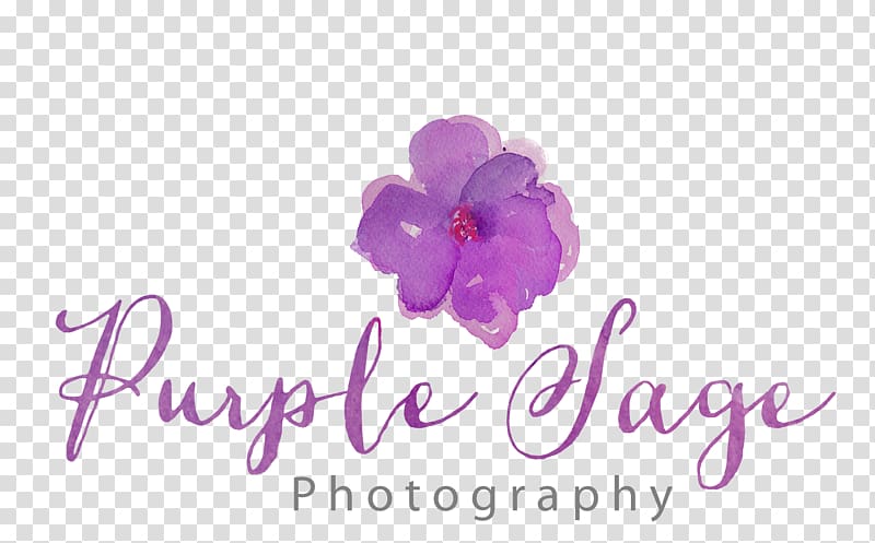 Purple Sage Portrait , purple grape logo transparent background PNG clipart
