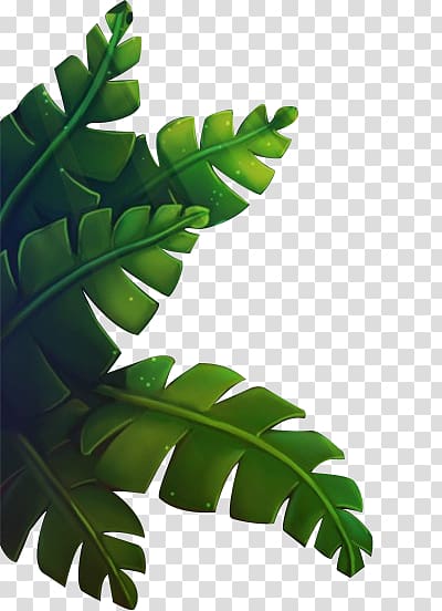green banana leaves transparent background PNG clipart