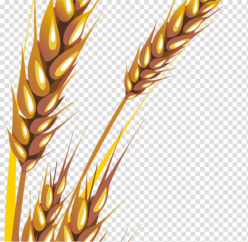 Wheat Paper Business Cards Zazzle, Hand-painted Wheat transparent background PNG clipart