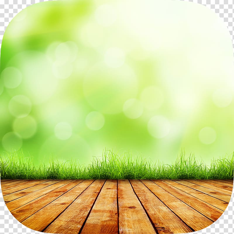 Desktop Nature, grass hd transparent background PNG clipart