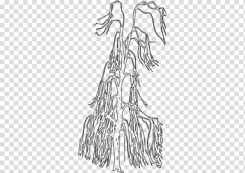 Figure drawing Line art Mammal Sketch, Tree front transparent background PNG clipart