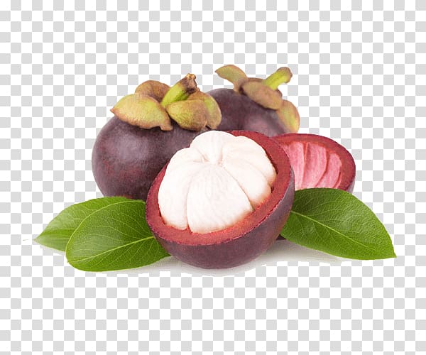 Purple mangosteen ingredientsonline.com, La Mirada, CA Antioxidant Xanthone , others transparent background PNG clipart