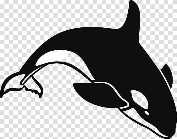 Killer whale Shamu , Shamu Coloring Pages transparent background PNG clipart