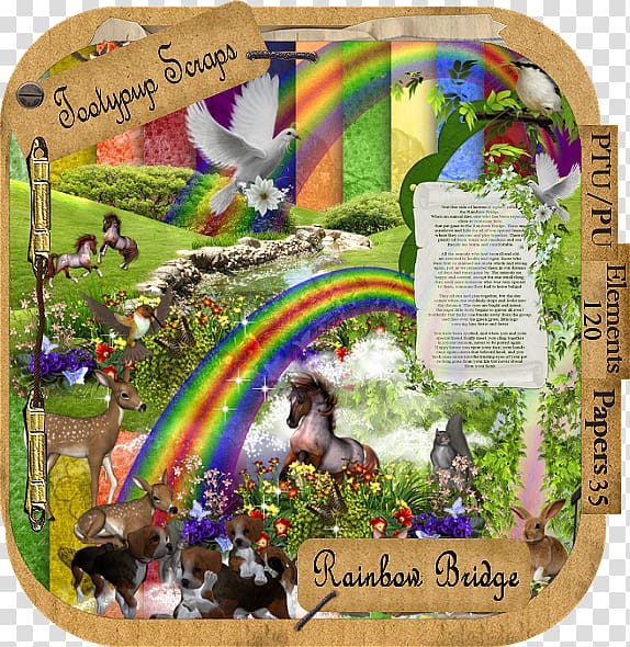 Dog Rainbow Bridge Cat Animal loss Pet, rainbow bridge transparent background PNG clipart