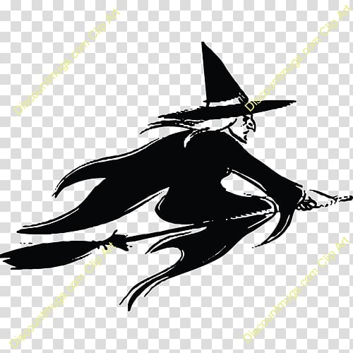Graphics Beak witch Feather Illustration, flying witch transparent background PNG clipart